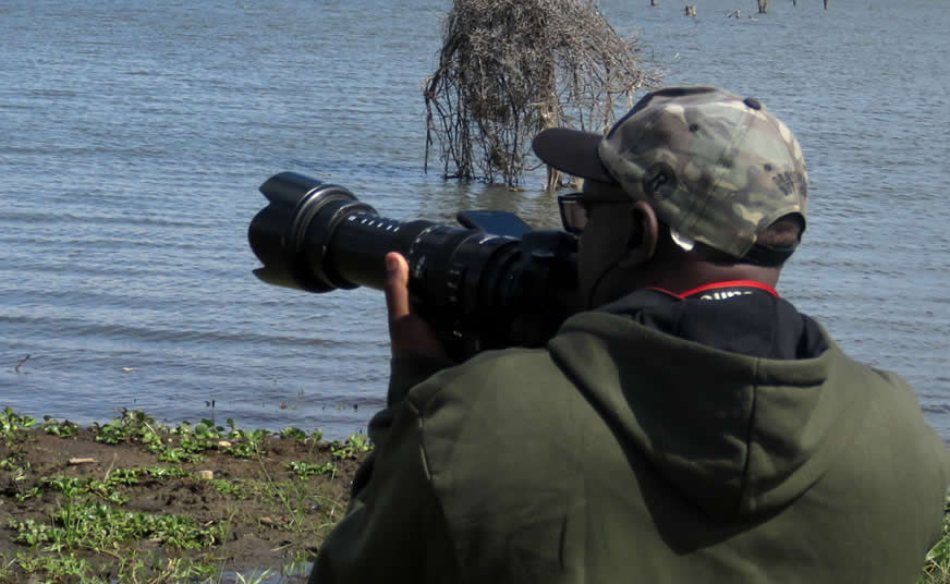 Safari Photography Tips