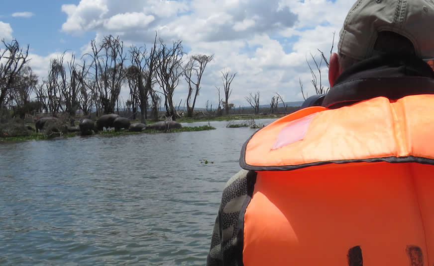 Adventure and Active Safaris