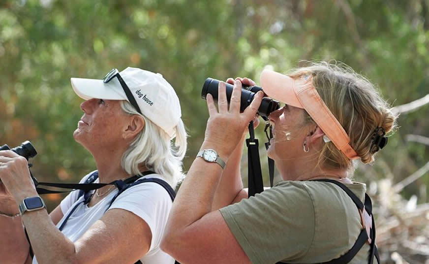 Birdwatching Safaris