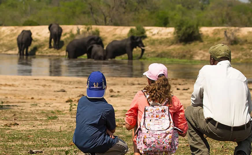 Family-Friendly Safaris