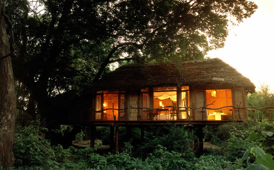 Lake Manyara Tree Lodge