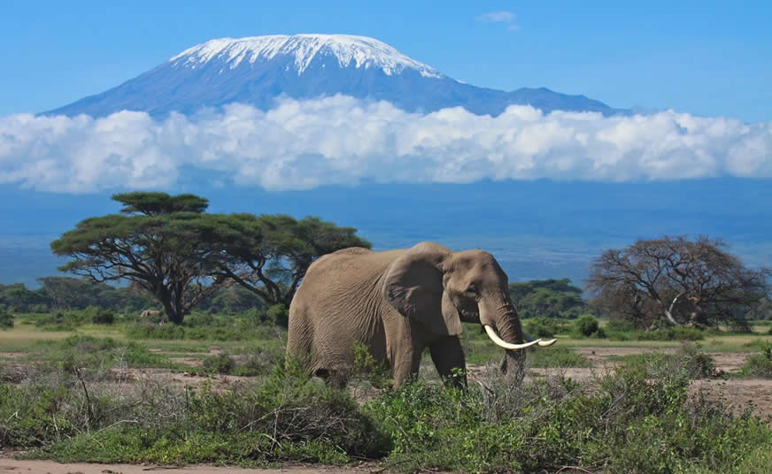 Amboseli National Park