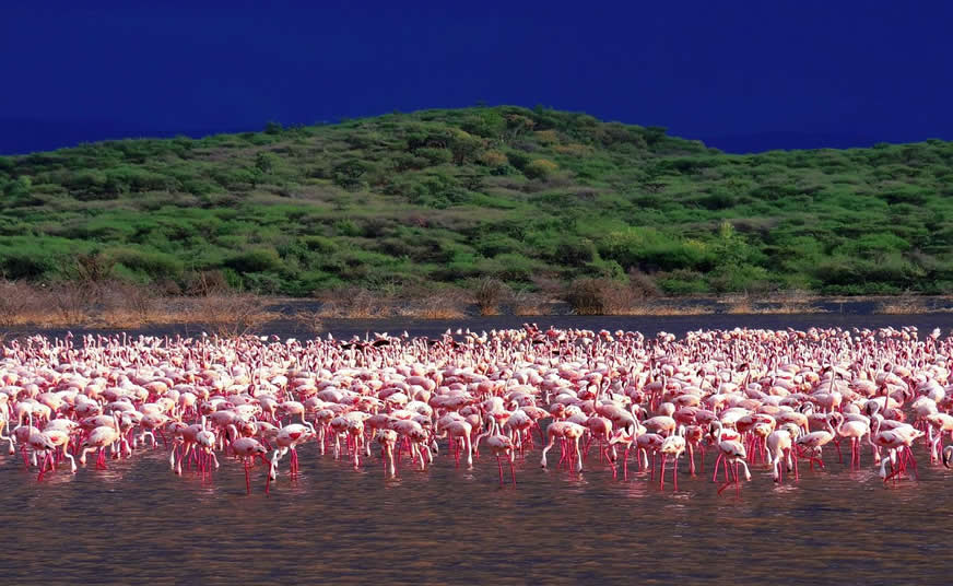 Lake Baringo