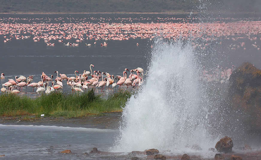 Lake Bogoria