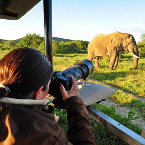 Photography Safaris
